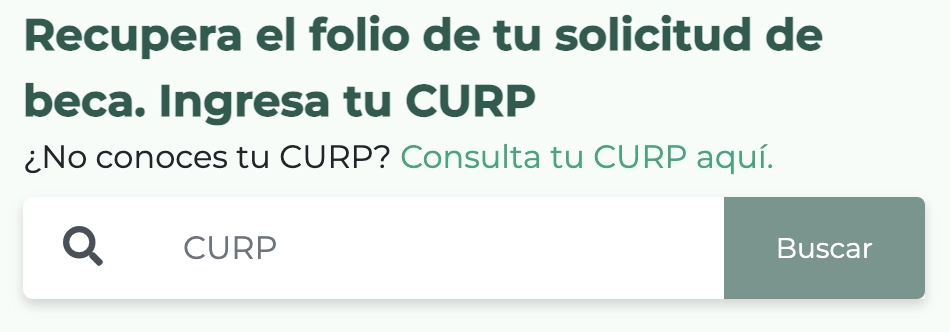 Buscador de Folios