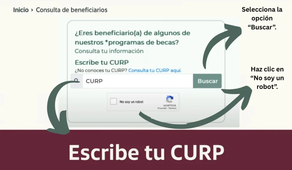 Buscador De Estatus Becas Benito Juárez