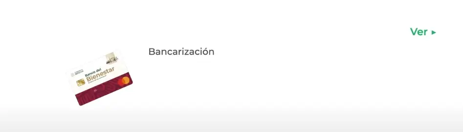 Buscador De Estatus Becas Benito Juárez 2025
